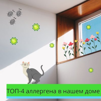 ТОП-4 аллергена в нашем доме